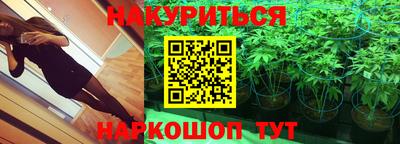крисы Бузулук