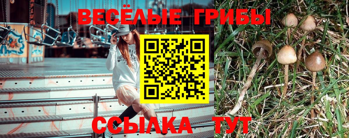 Псилоцибиновые грибы мицелий Волоколамск